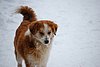 DSC_0114.jpg